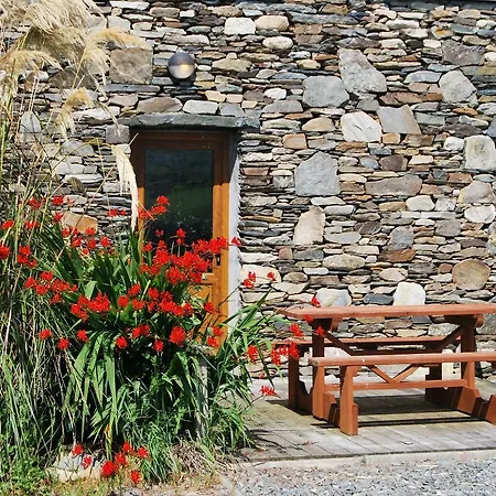 Dolphin 2* Inishbofin