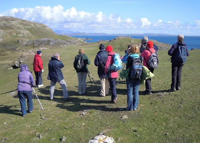 호텔 Dolphin 이니시보핀