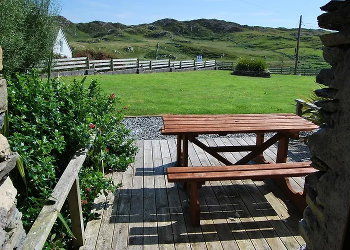 Dolphin 이니시보핀