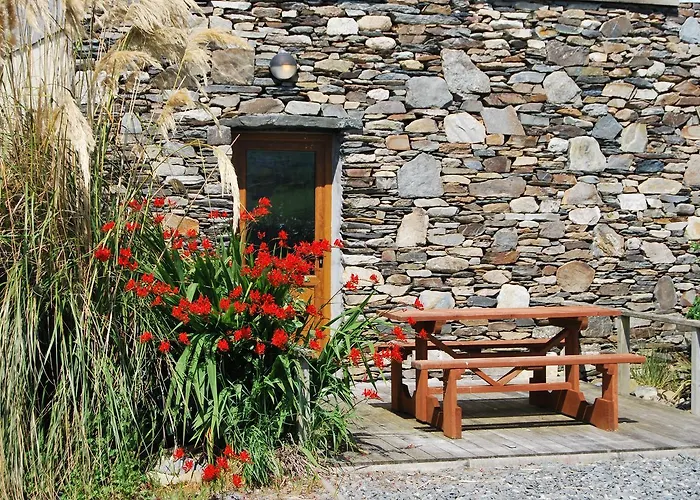 Dolphin 2* Inishbofin